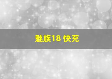 魅族18 快充